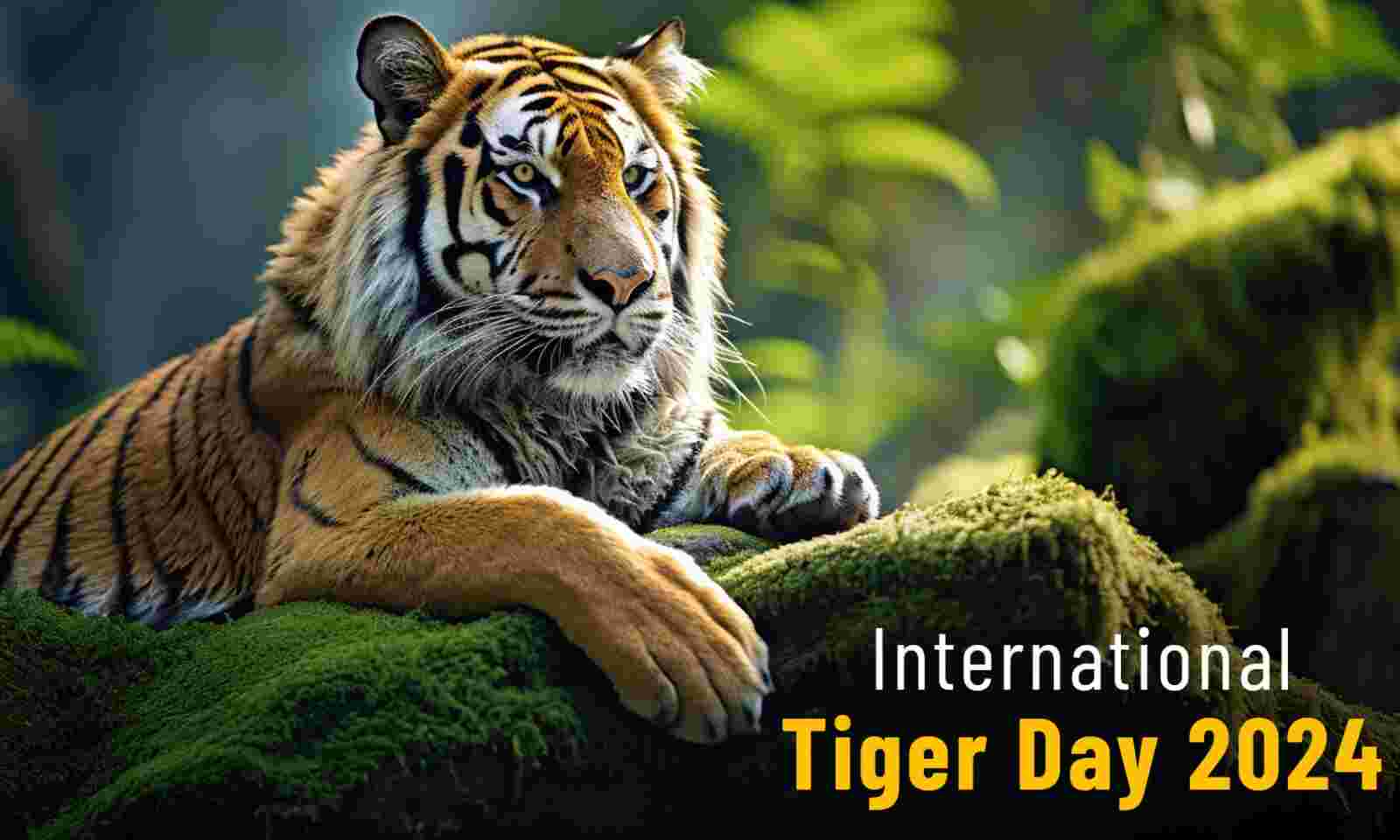 International Tiger Day 2024 पीएम मोदी के उद्धरण और 10 प्रसिद्ध बाघ