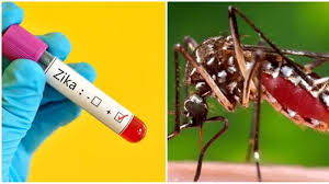 Zika virus: पुणे में जीका वायरस के नए मामले: 48 पर पहुंचा कुल आंकड़ा