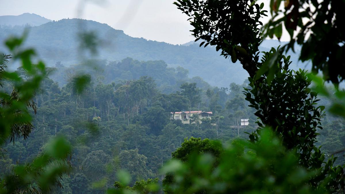 Karnataka: पश्चिमी घाटों में वन अतिक्रमण हटाने के लिए नया टास्क फोर्स