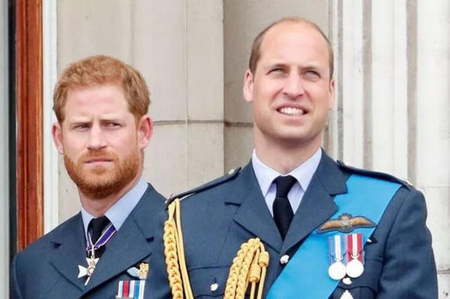 Prince William: की नाराजगी: प्रिंस हैरी का डायना पर बार-बार उल्लेख